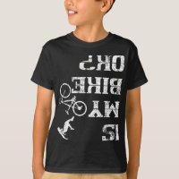 Is My Bike Ok Cycling Stunt Accident Crash