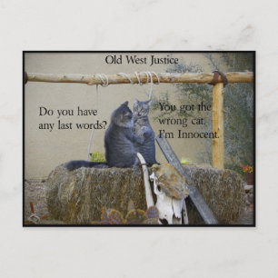 Is One Of The Earp Boys About To Be Hung? Postcard