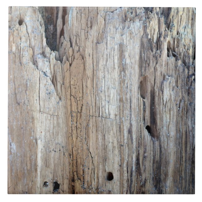 Is That a Piece of Driftwood Tile (Front)