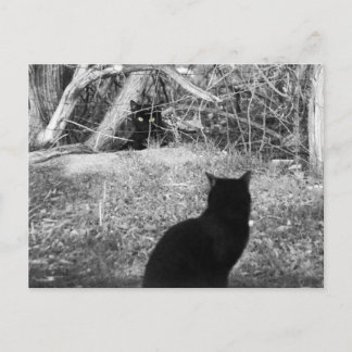 Is that me? postcard