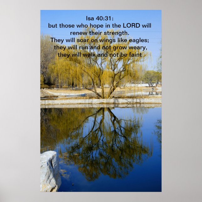Isa 40:31: but those who hope in the LORD Poster (Front)