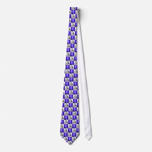 Isaac Newton pop art tie (Front)