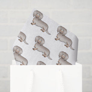Isabella And Tan Long Hair Dachshund Dog Pattern Tissue Paper