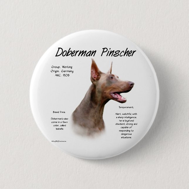 Isabella Doberman History  6 Cm Round Badge (Front)