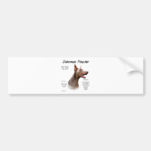 Isabella Doberman History  Bumper Sticker