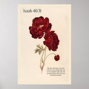 Isaiah 4031 Wall Art Print – Red Peonies Botanical
