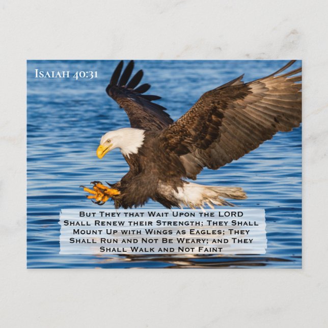Isaiah 40:31  Mount Up on Eagle Wings Postcard (Front)