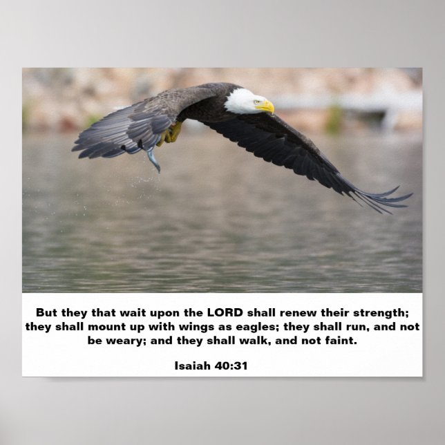 Isaiah 40:31 Mount Up With Wings As Eagles Poster (Front)