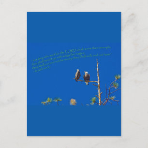 Isaiah 40:31 postcard
