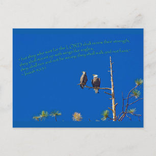 Isaiah 40:31 postcard
