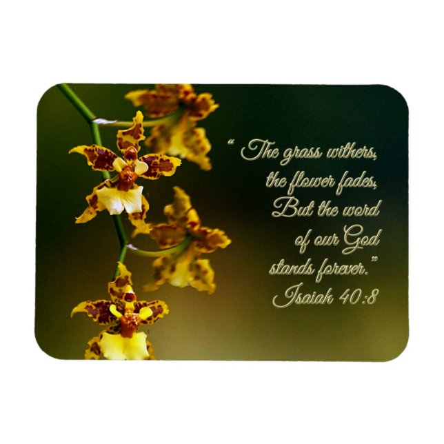 Isaiah 40:8 Inspirational Magnet (Horizontal)