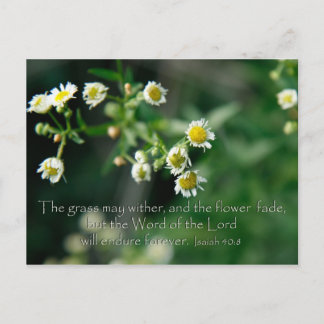 Isaiah 40:8 The grass may wither and fade Postcard
