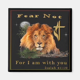 Isaiah 41:10 magnet