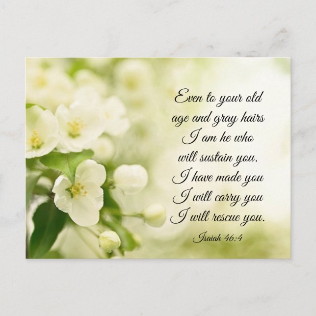 Isaiah 46:4 I am He who will sustain you Flowers Postcard (Front)