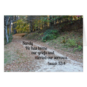 Isaiah 53:4 Surely He has borne our griefs...