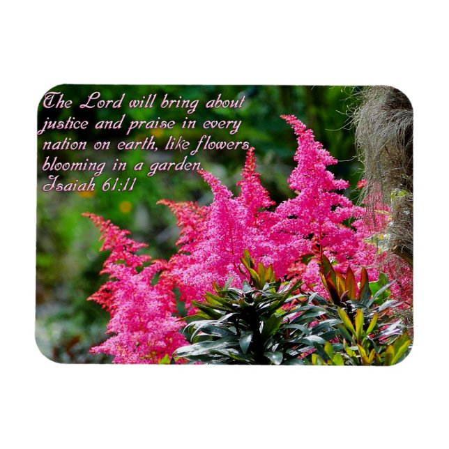 Isaiah 61:11 Pink Floral Inspirational Magnet (Horizontal)