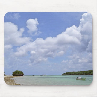 Ishigaki Island Paradise Mouse Pad