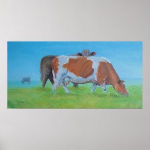 'Isiah' Cow painting Poster