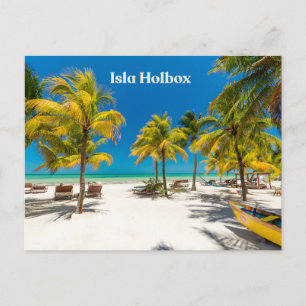 Isla Holbox Mexico Beautiful Beach with Palms  Postcard