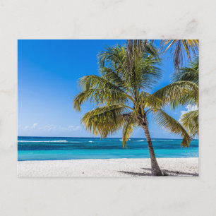 Isla Saona Beach Domenican Republic gift Poster Holiday Postcard