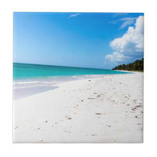 Isla Saona beach in the Caribbean Tile