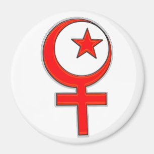 Islamic feminism... magnet