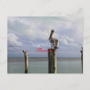 Islamorada, Florida Holiday Postcard