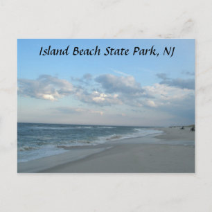 Island Beach State Park, NJ Postcard