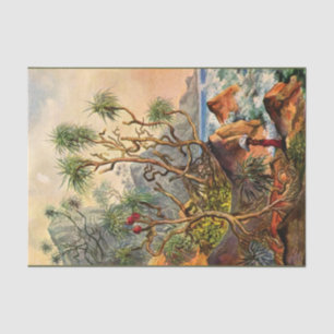 Island Ernst Haeckel Decoupage Tissue Paper