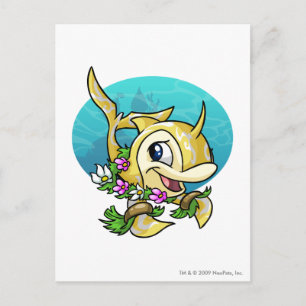 Island Flotsam Postcard