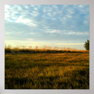 Island Grass Poster