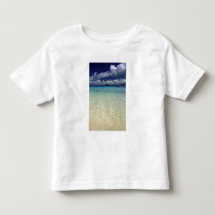 Island landscape, Vava'u Island,Tonga Toddler T-Shirt