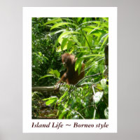 Island Life ~ Borneo style
