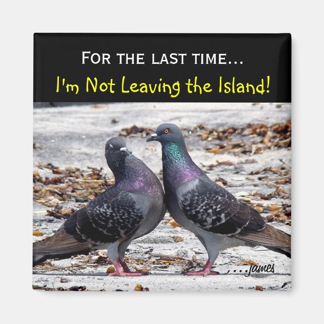 Island Magnet (Front)