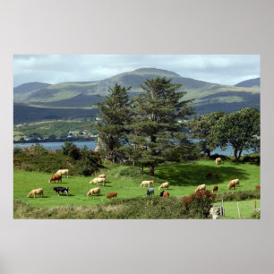 island meadow poster