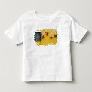 Island of Burano, Burano, Italy. Colourful Burano  Toddler T-Shirt