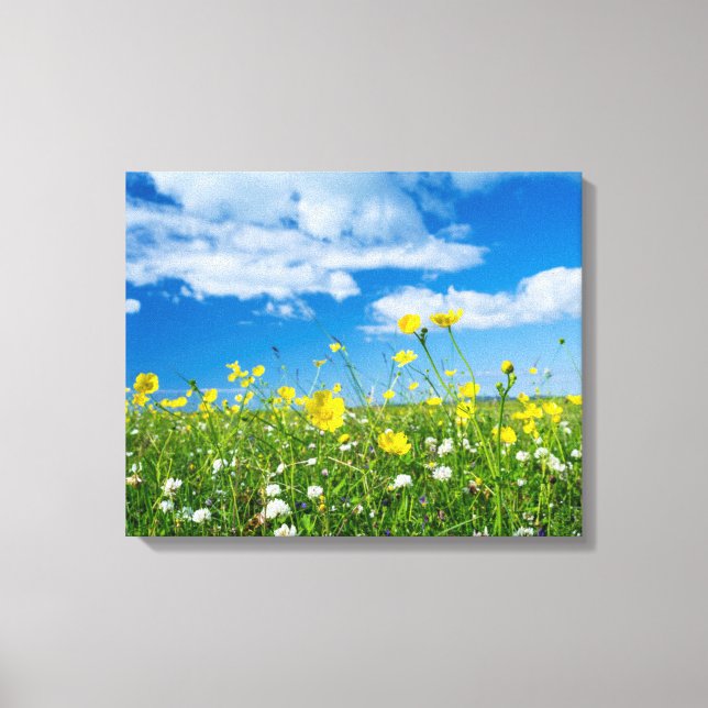 island of South Uist | Scotland Canvas Print (Front)