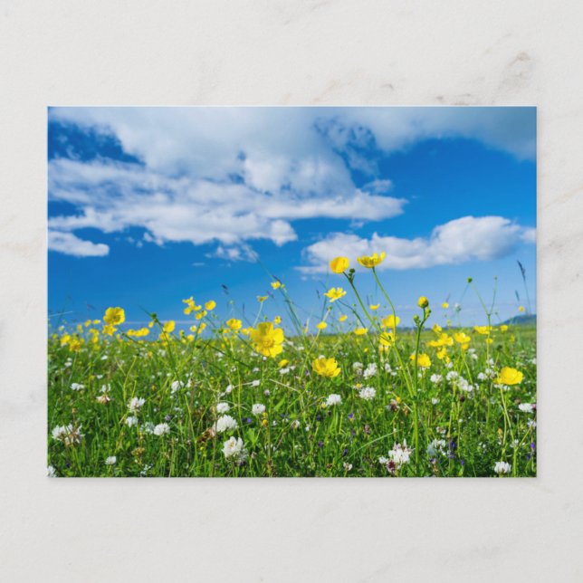 island of South Uist | Scotland Postcard (Front)