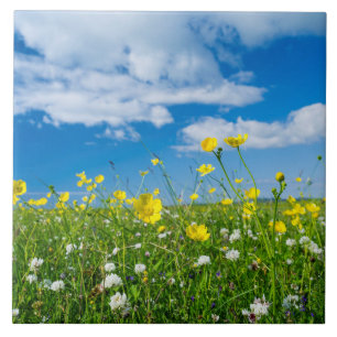 island of South Uist Scotland Tile
