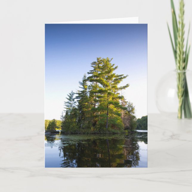 Island on Lake Long Pond Holiday Card (Front)
