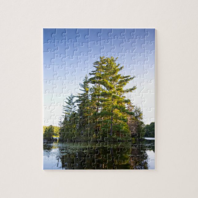 Island on Lake Long Pond Jigsaw Puzzle (Vertical)