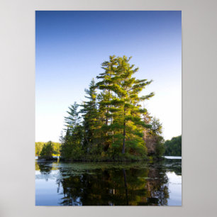 Island on Lake Long Pond Poster