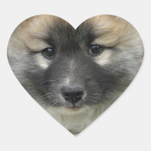 Islandhund Heart Sticker