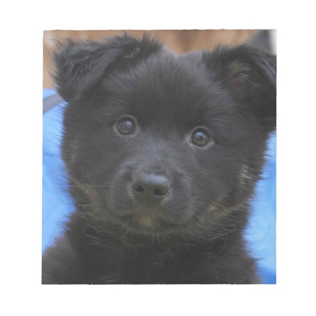 Islandhund - Icelandic Sheepdog Notepad (Front)