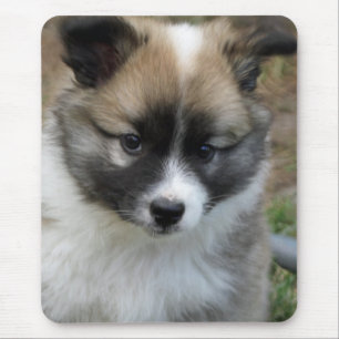 Islandhund Mouse Pad