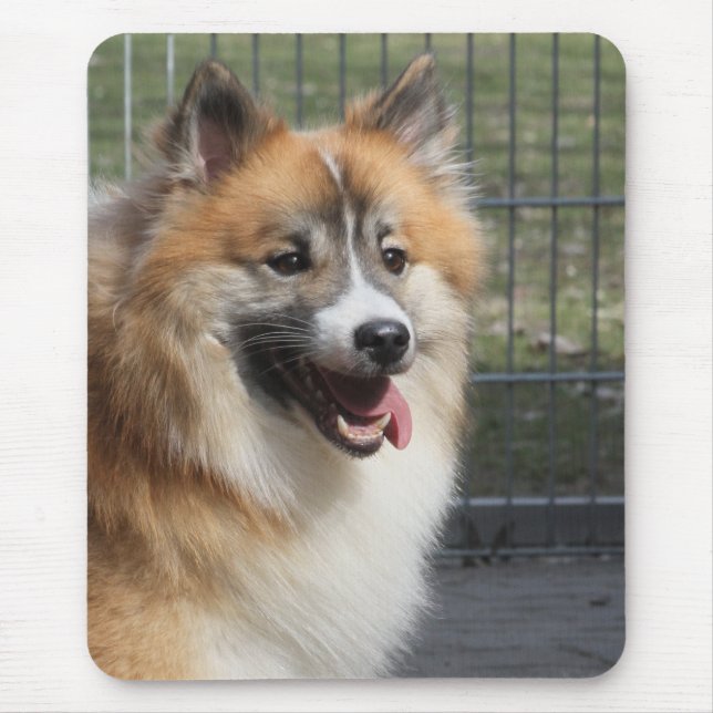 Islandhund Mouse Pad (Front)