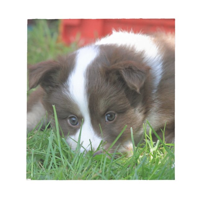 Islandhund Notepad (Front)