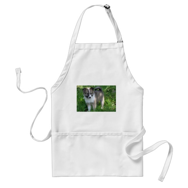 Islandhund Standard Apron (Front)