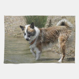 Islandhund Tea Towel
