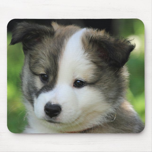 Islandhundewelpe Mouse Pad (Front)